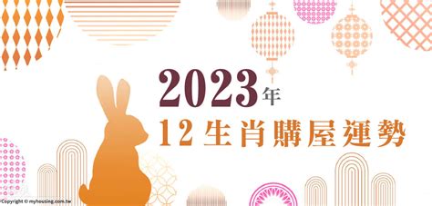 2023屬狗買房|2023年 12生肖購屋運勢